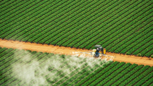 Best Mosquito Control Services  in Lenape Heights, PA