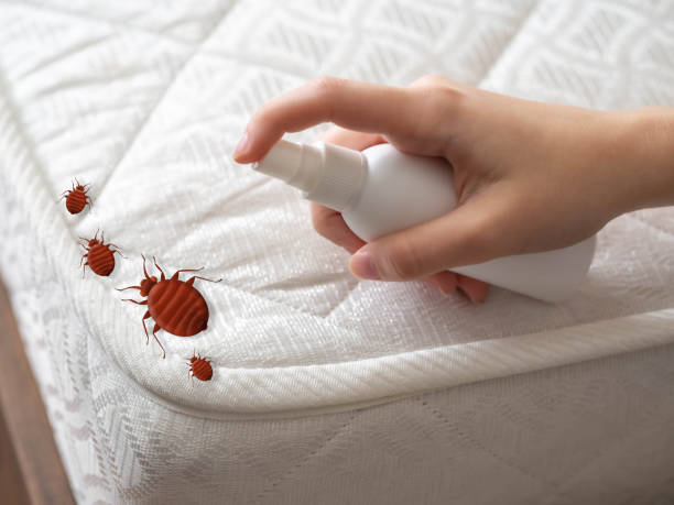 Lenape Heights, PA Pest Control Company