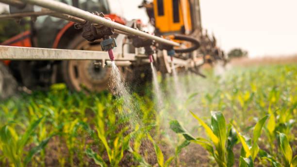 Best Mosquito Control Services  in Lenape Heights, PA